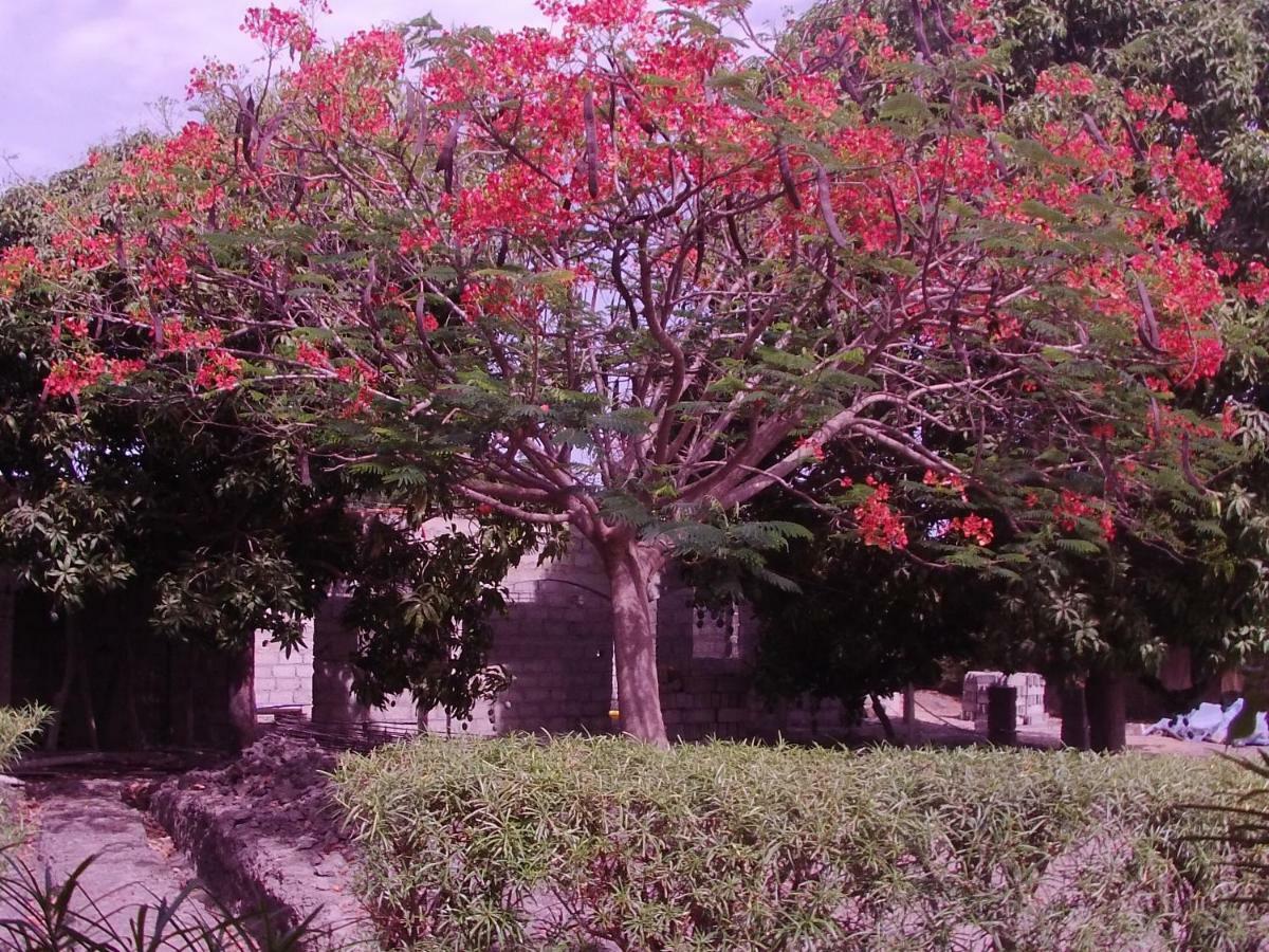 B & B Mariamacounda Toubakouta Buitenkant foto